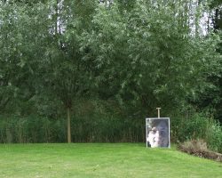 Resultaat Chris digitaal.